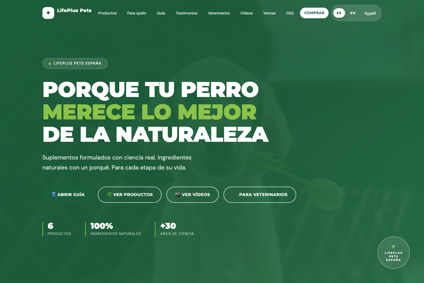 Vista previa de la web Pet Vitality Hub